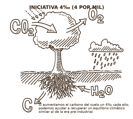 Ilustración de la iniciativa 4 por mil: el árbol captura CO₂ y lo fija como carbono en el suelo